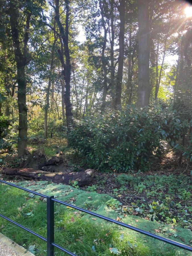 Woodland Retreat, Market Lane, Blundeston, Lowestoft Екстер'єр фото