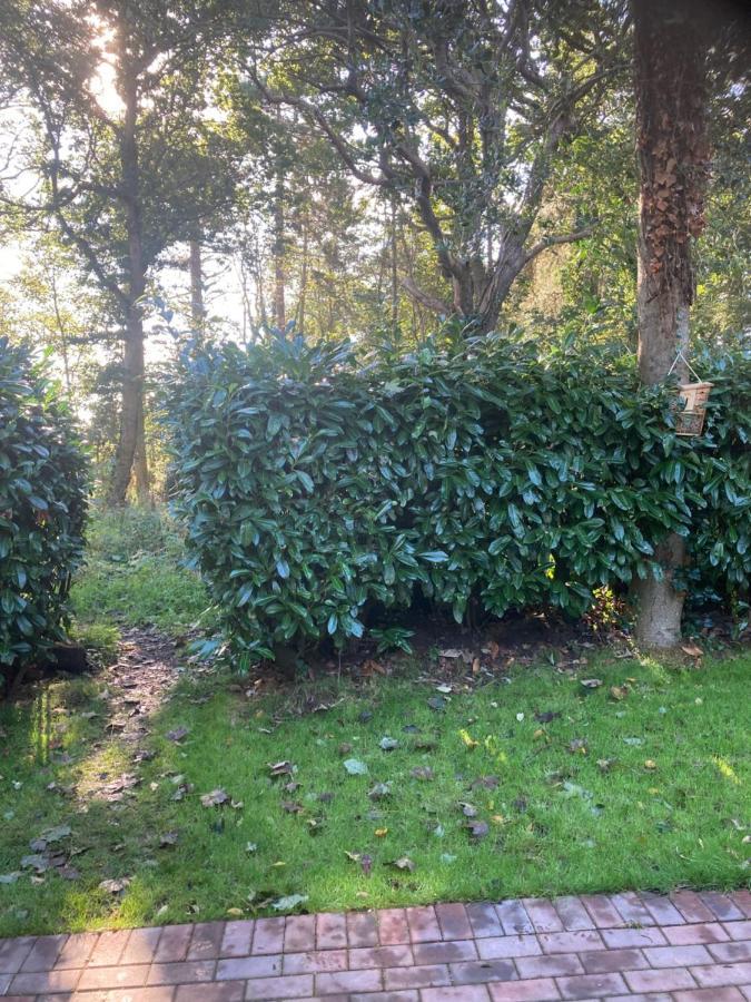 Woodland Retreat, Market Lane, Blundeston, Lowestoft Екстер'єр фото