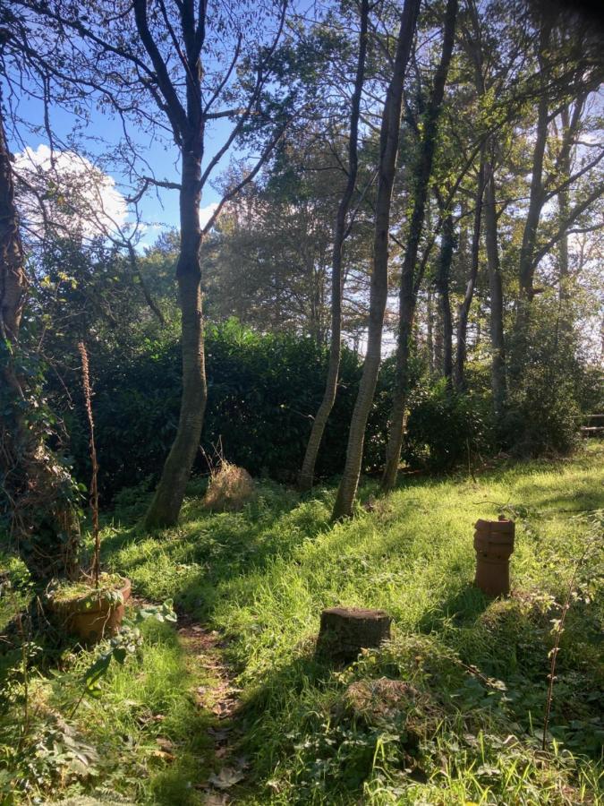 Woodland Retreat, Market Lane, Blundeston, Lowestoft Екстер'єр фото