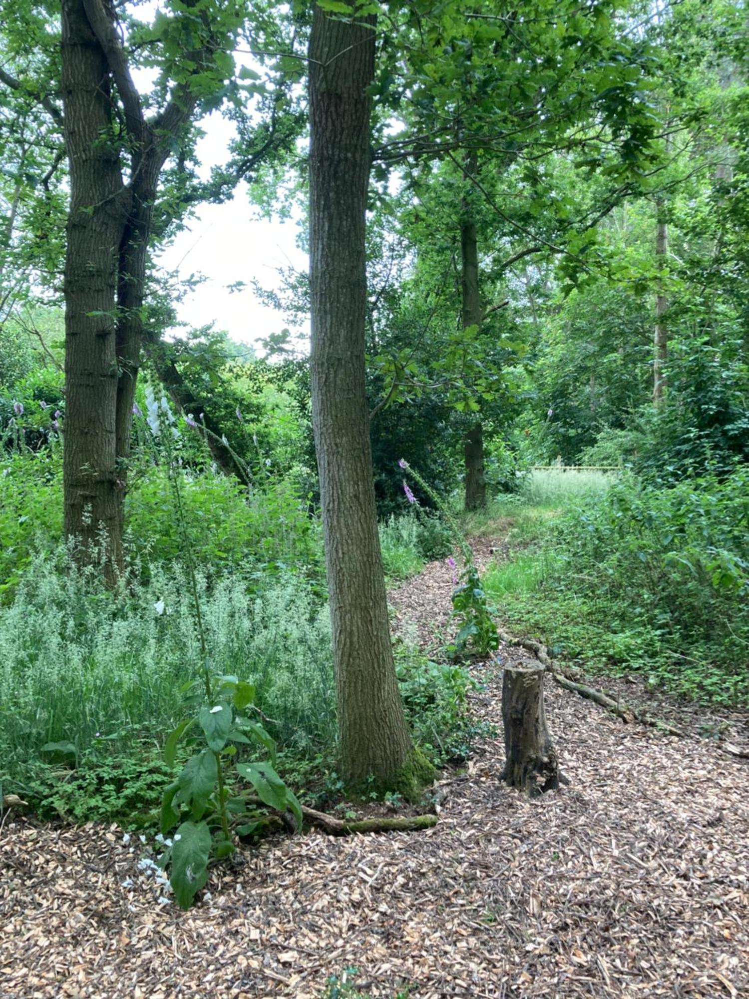 Woodland Retreat, Market Lane, Blundeston, Lowestoft Екстер'єр фото